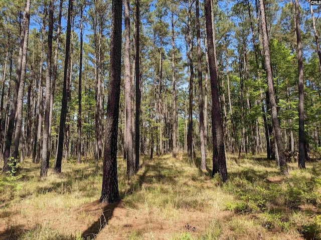 Old Hillcrest School Rd, Winnsboro, SC 29180
