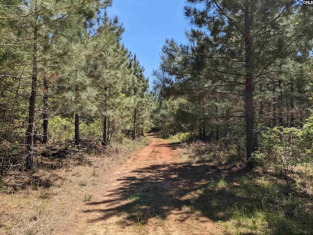 Old Hillcrest School Rd, Winnsboro, SC 29180