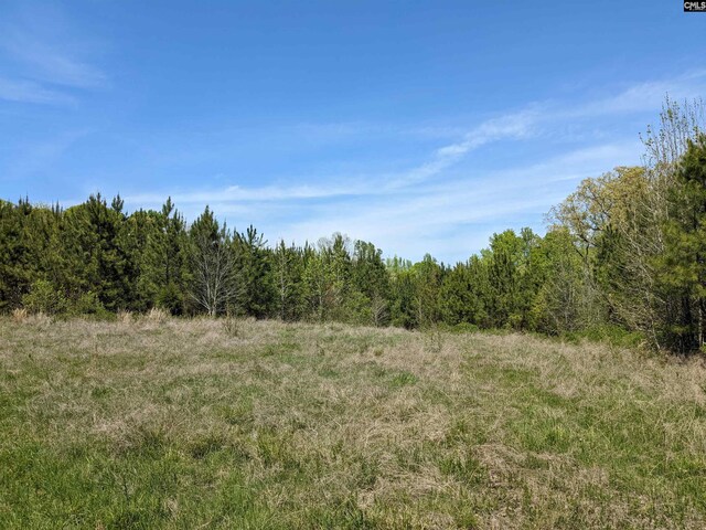 Old Hillcrest School Rd, Winnsboro, SC 29180