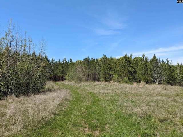 Old Hillcrest School Rd, Winnsboro, SC 29180
