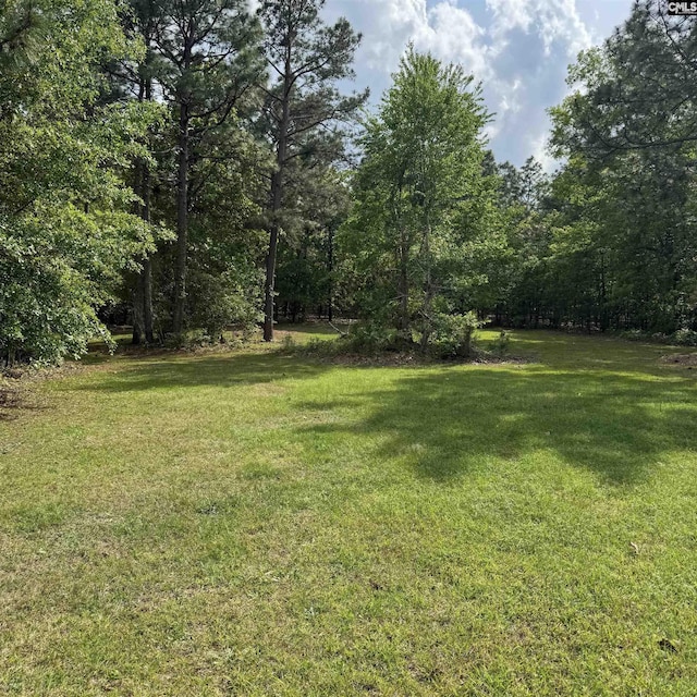 view of yard with a wooded view