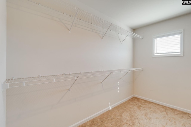 walk in closet with carpet