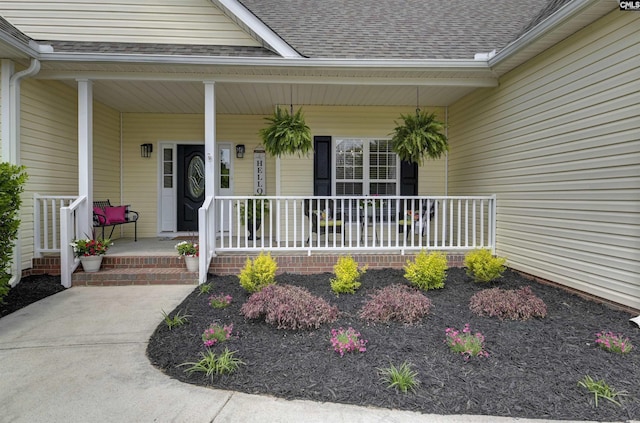 view of exterior entry with covered porch and roof with shingles