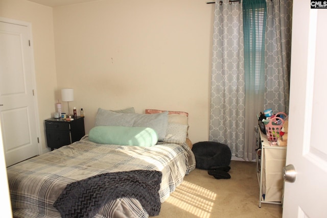 640 Mangrove Trl, Columbia, SC 29229 - bedroom with light colored carpet
