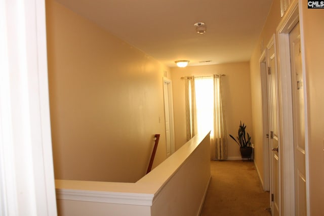 640 Mangrove Trl, Columbia, SC 29229 - corridor with baseboards, an upstairs landing, and light colored carpet
