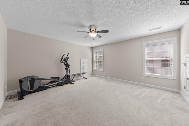 257 Popes Ln, Lexington, SC 29072 - exercise area featuring ceiling fan, baseboards, a textured ceiling, and carpet flooring
