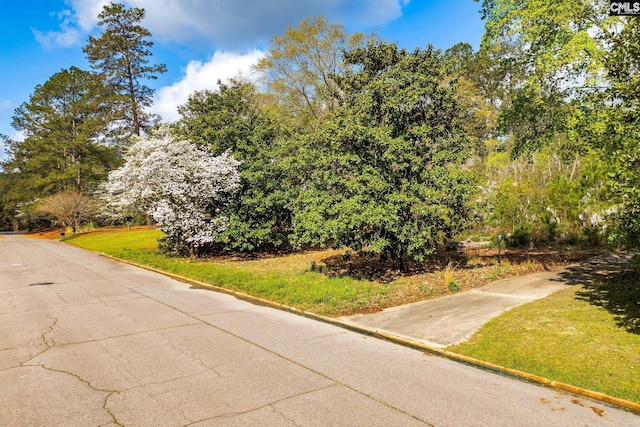 45 Old Still Rd, Columbia, SC 29223