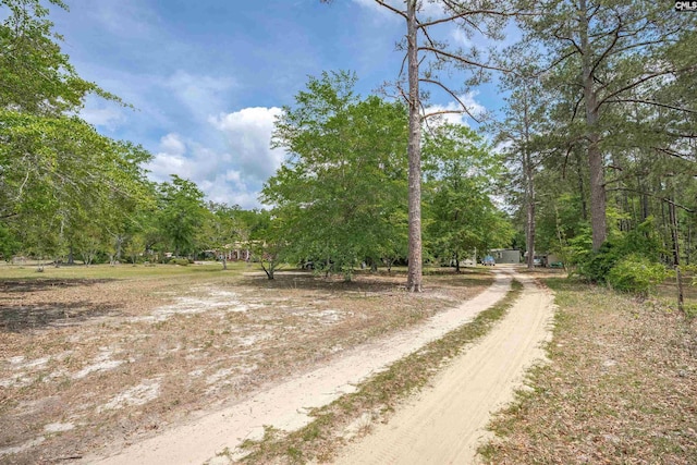 view of road featuring driveway