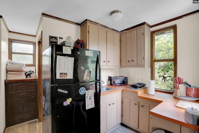 kitchen featuring a sink, light wood-style floors, light countertops, ornamental molding, and freestanding refrigerator