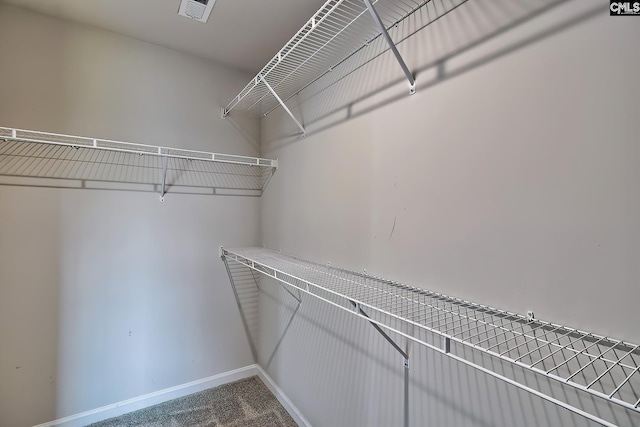 walk in closet featuring visible vents and carpet floors