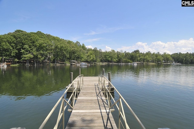 dock area featuring a water view and a view of trees
