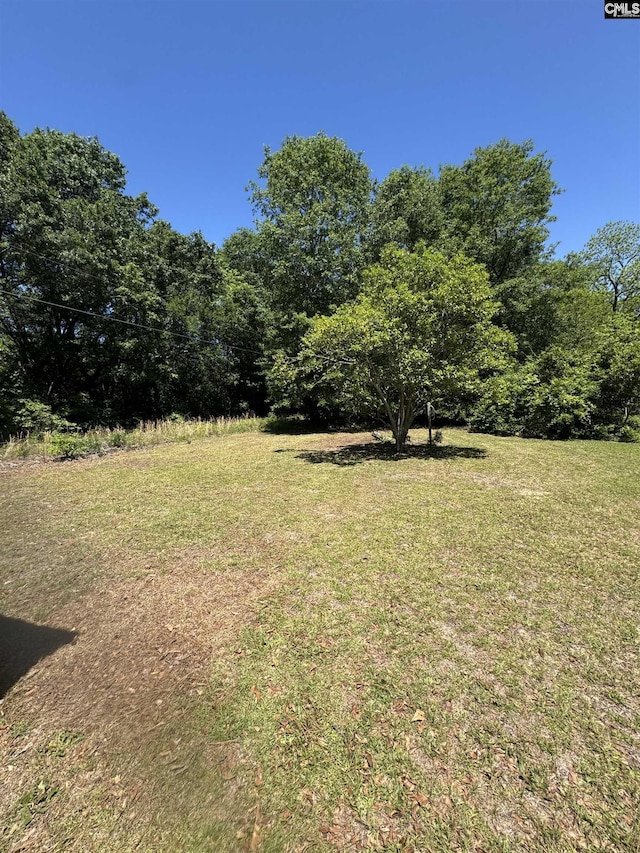 view of yard featuring a forest view