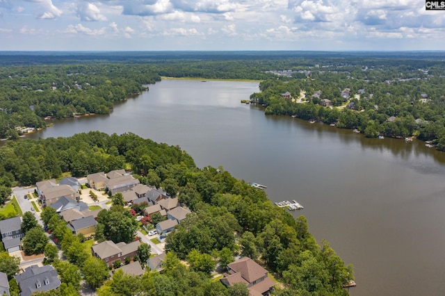 821 Harborside Ln, Columbia, SC 29229 - bird's eye view with a forest view, a residential view, and a water view