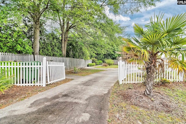 view of road with concrete driveway and a gated entry