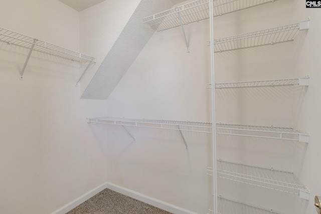 walk in closet with carpet flooring