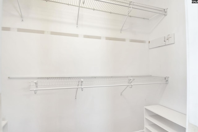 view of walk in closet