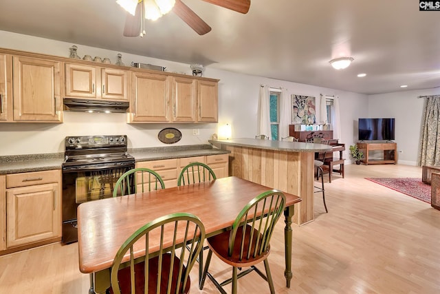 kitchen with under cabinet range hood, light brown cabinetry, and black electric range oven