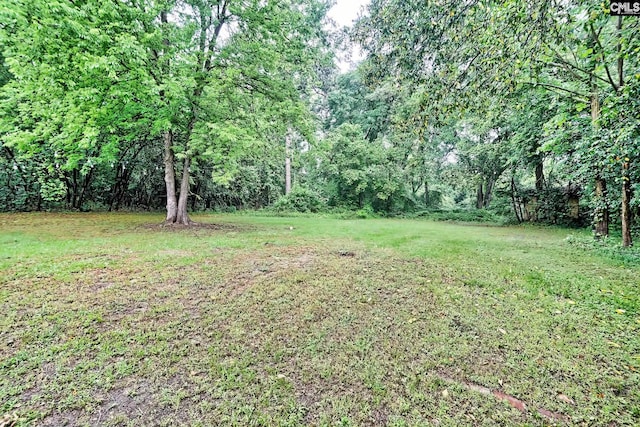 view of yard featuring a view of trees