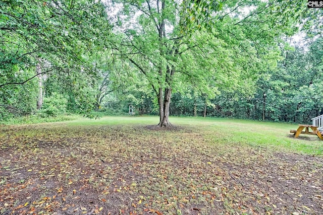 view of yard