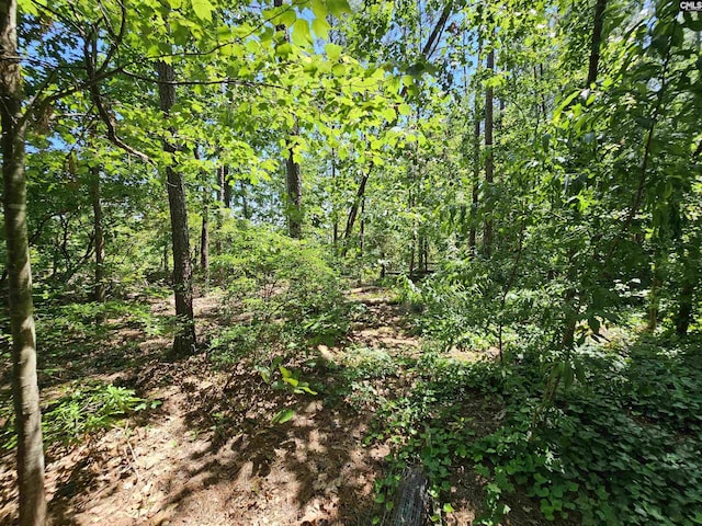 view of landscape with a wooded view