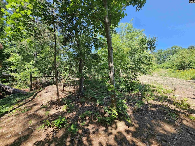 view of nature featuring a wooded view