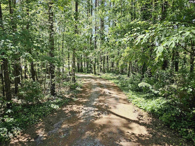 view of street with a forest view