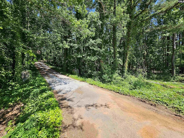 view of road with a forest view