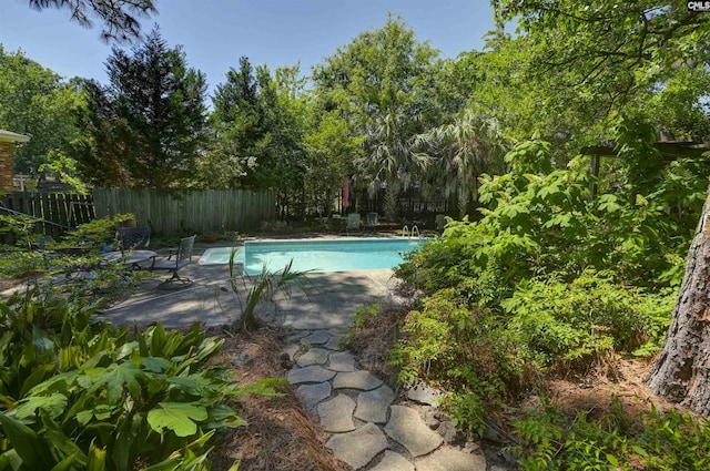 view of swimming pool featuring a fenced in pool, fence, and a patio