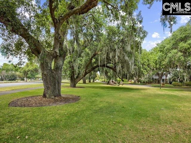view of community with a lawn