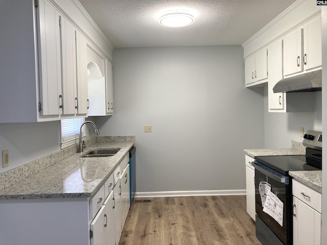 kitchen with light wood-style floors, electric range oven, white cabinetry, under cabinet range hood, and a sink