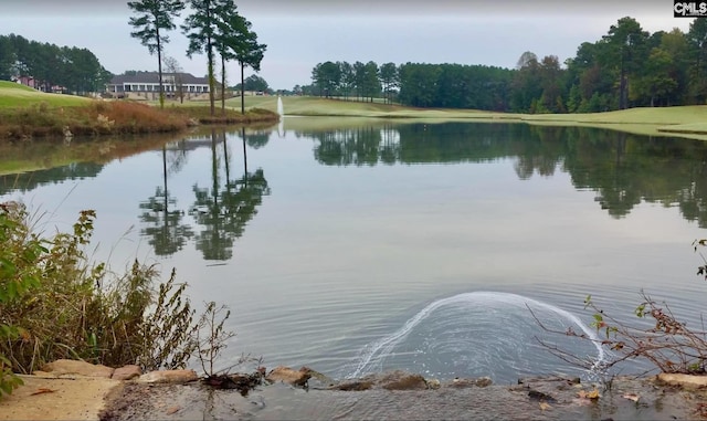 water view
