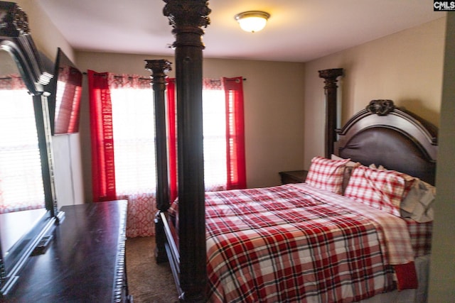 bedroom featuring carpet floors and multiple windows