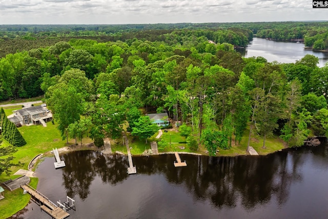drone / aerial view with a water view and a wooded view