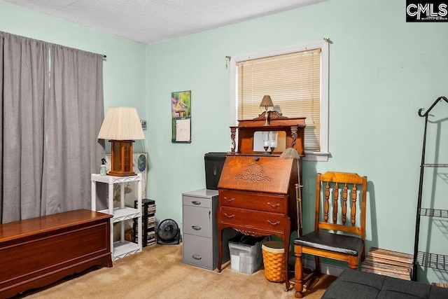 home office with carpet flooring