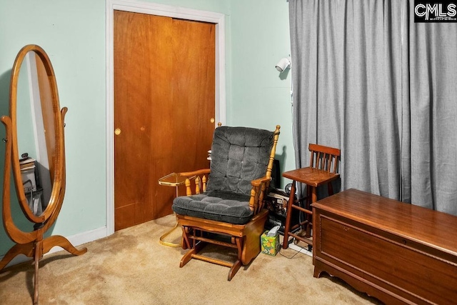sitting room featuring carpet flooring