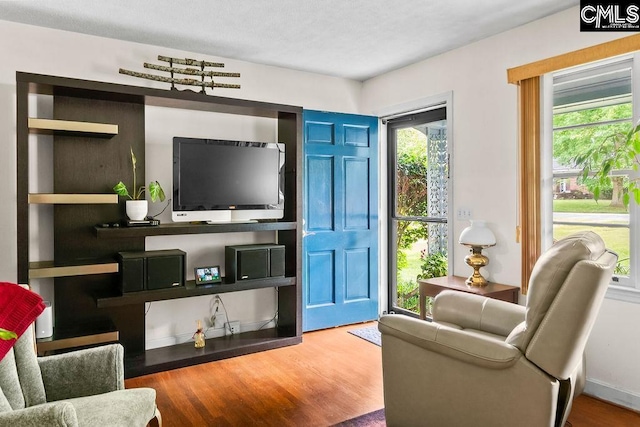 living room with wood finished floors