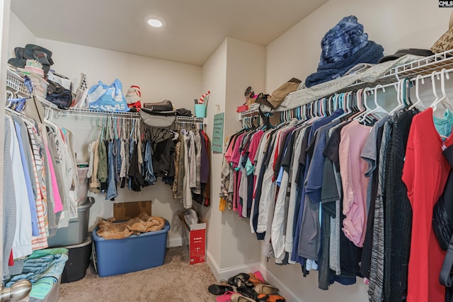 walk in closet with carpet floors