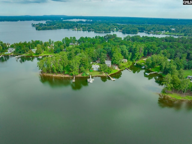 aerial view featuring a water view and a wooded view