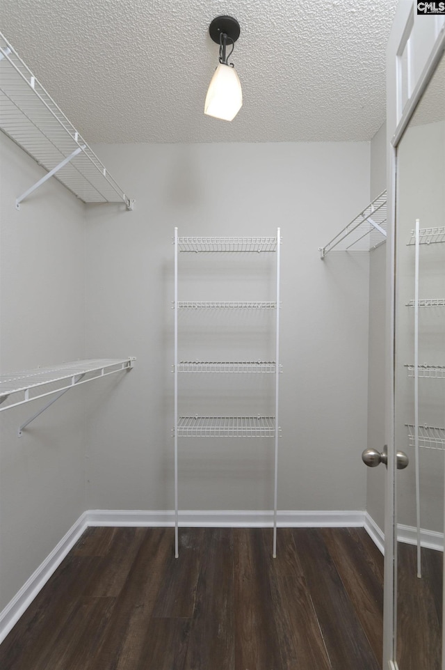 spacious closet featuring wood finished floors