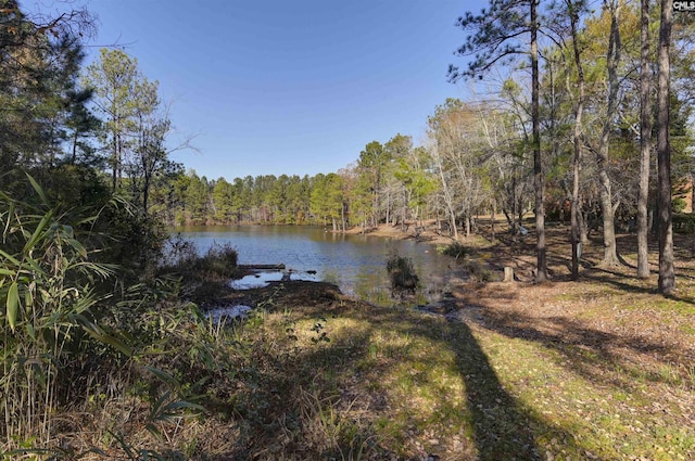 water view featuring a wooded view