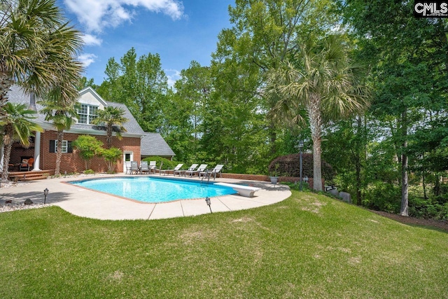 119 Ashley Trace Dr, Lexington, SC 29072 - outdoor pool with a yard, a diving board, and a patio area