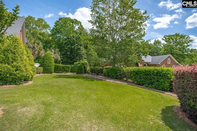 119 Ashley Trace Dr, Lexington, SC 29072 - view of yard