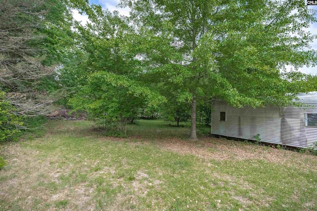 view of yard