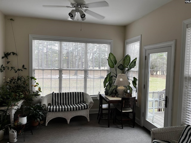 living area with carpet flooring, ceiling fan, and a healthy amount of sunlight
