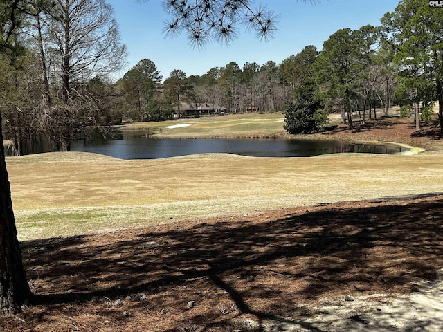 view of community with a water view and golf course view