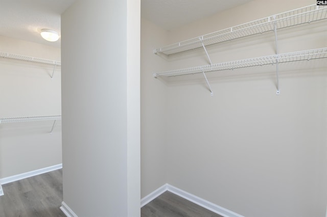 walk in closet with dark wood-type flooring