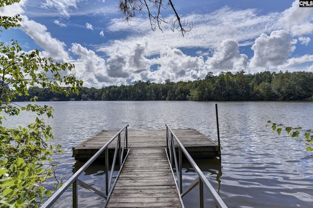 view of dock with a water view and a view of trees