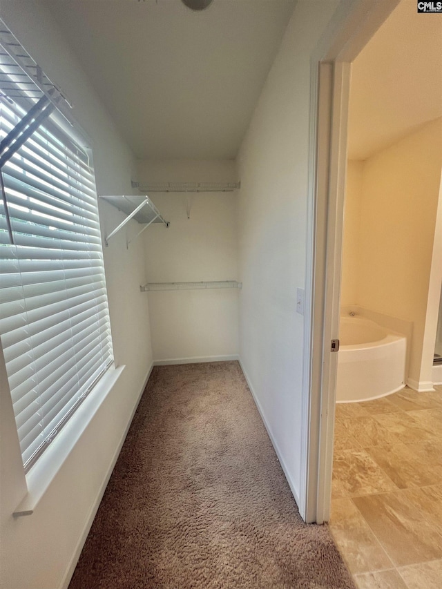 walk in closet featuring carpet floors