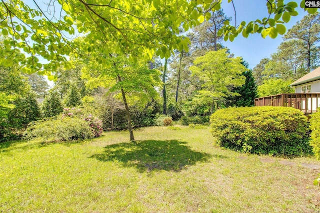 view of yard featuring a deck