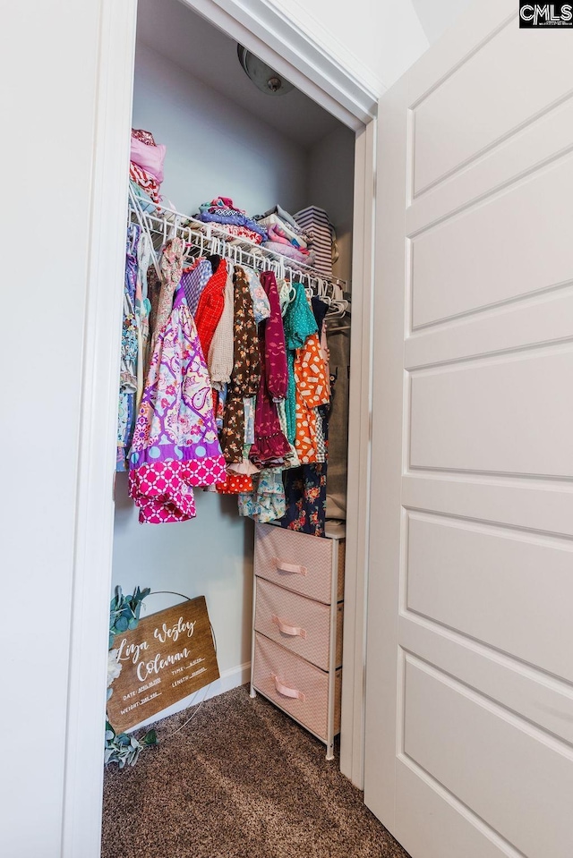 view of closet